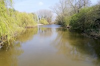 Thrumpton Lake 3
