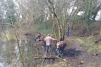 Bingham Pond Working Party